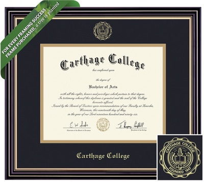 Framing Success 8.5 x 11 Prestige Gold Embossed School Seal Bachelors, Masters Diploma Frame