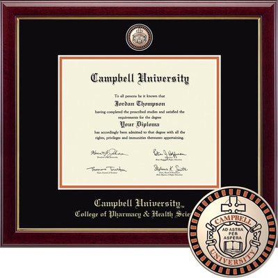 Church Hill Classics 11" x 14" Masterpiece Cherry College of Pharmacy & Health Sciences Diploma Frame