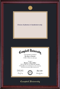 Framing Success 11 x 14 Classic Gold Medallion Bachelors, Masters, PhD Diploma/Photo Opening Frame