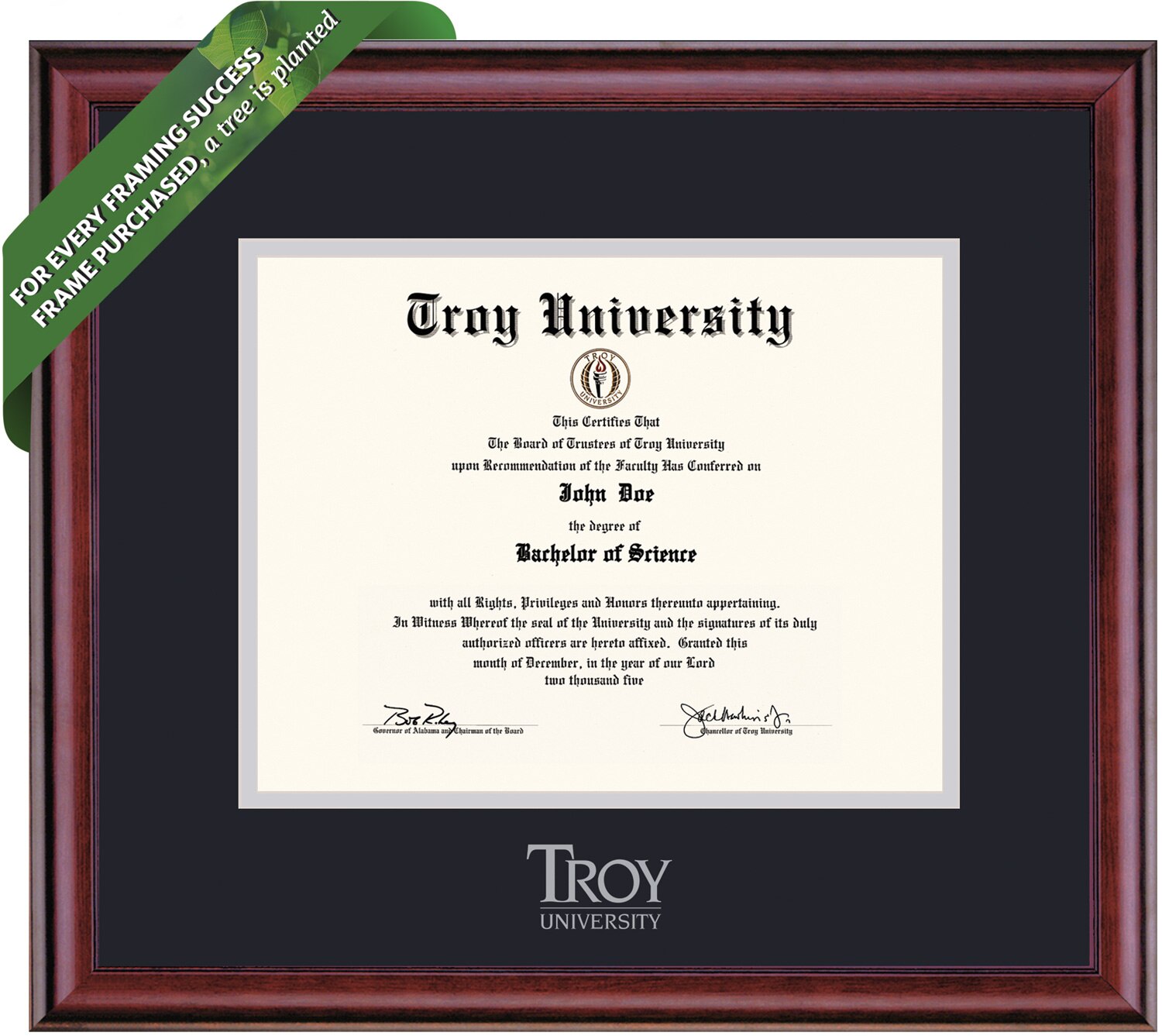 Framing Success 11 x 14 Classic Silver Embossed School Seal Bachelors, Masters, PhD Diploma Frame