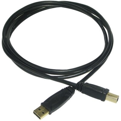 Professional Cable 10' A Male-B Male