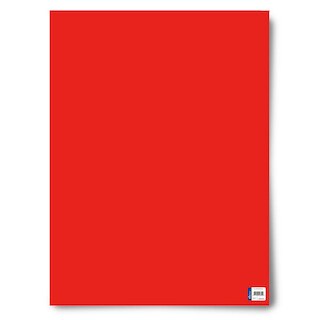 Royal Consumer Product 22 x 28 Poster BoardBlue 25 Count
