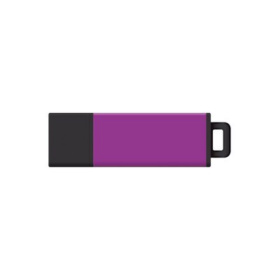 Centon 32 GB USB 2.0 Datastick Pro2 Purple