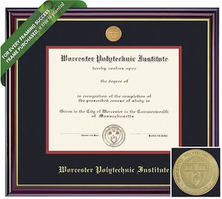 Framing Success 11 x 14 Windsor Gold Medallion PhD Diploma Frame