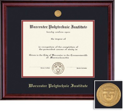 Framing Success 11 x 14 Classic Gold Medallion PhD Diploma Frame