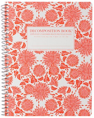 Chocolate Chip Decomposition Book